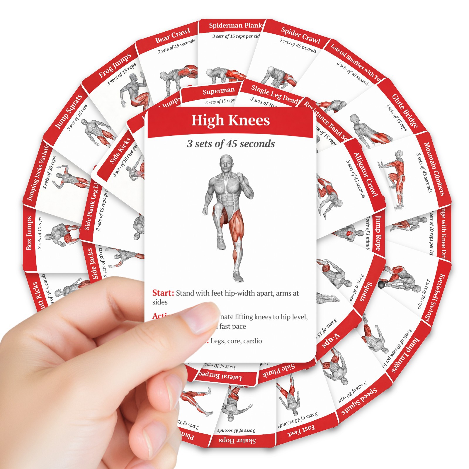 Home Gym Needs - 36Pcs Full Body Fat Burning Workout