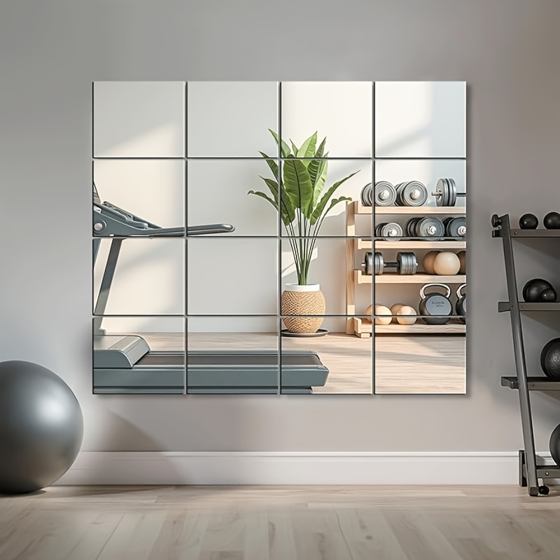 Bandwagon 2mm Acrylic Mirror S - Home Gym Needs recension och pris