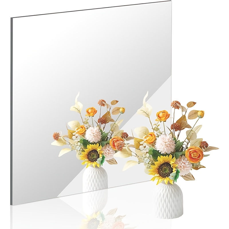 Bandwagon 2mm Acrylic Mirror S - Home Gym Needs recension och pris