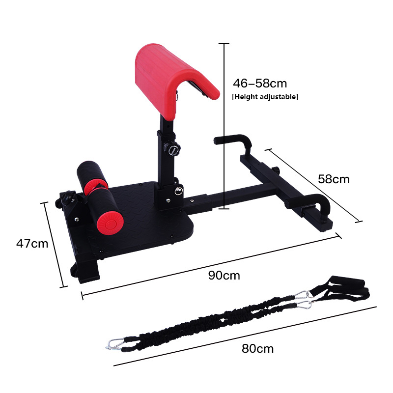 Sissy Squat Machine 3-in-1 Hom - Home Gym Quad Machine recension och pris