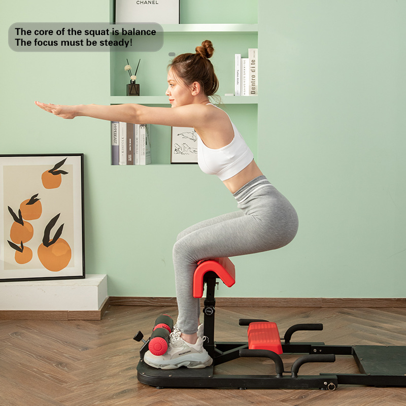Sissy Squat Machine 3-in-1 Hom - Home Gym Quad Machine recension och pris